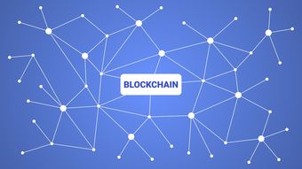 开云官网首页-英超青训引入虚拟现实技术强化战术理解和实战演练，英超青训最好的球队